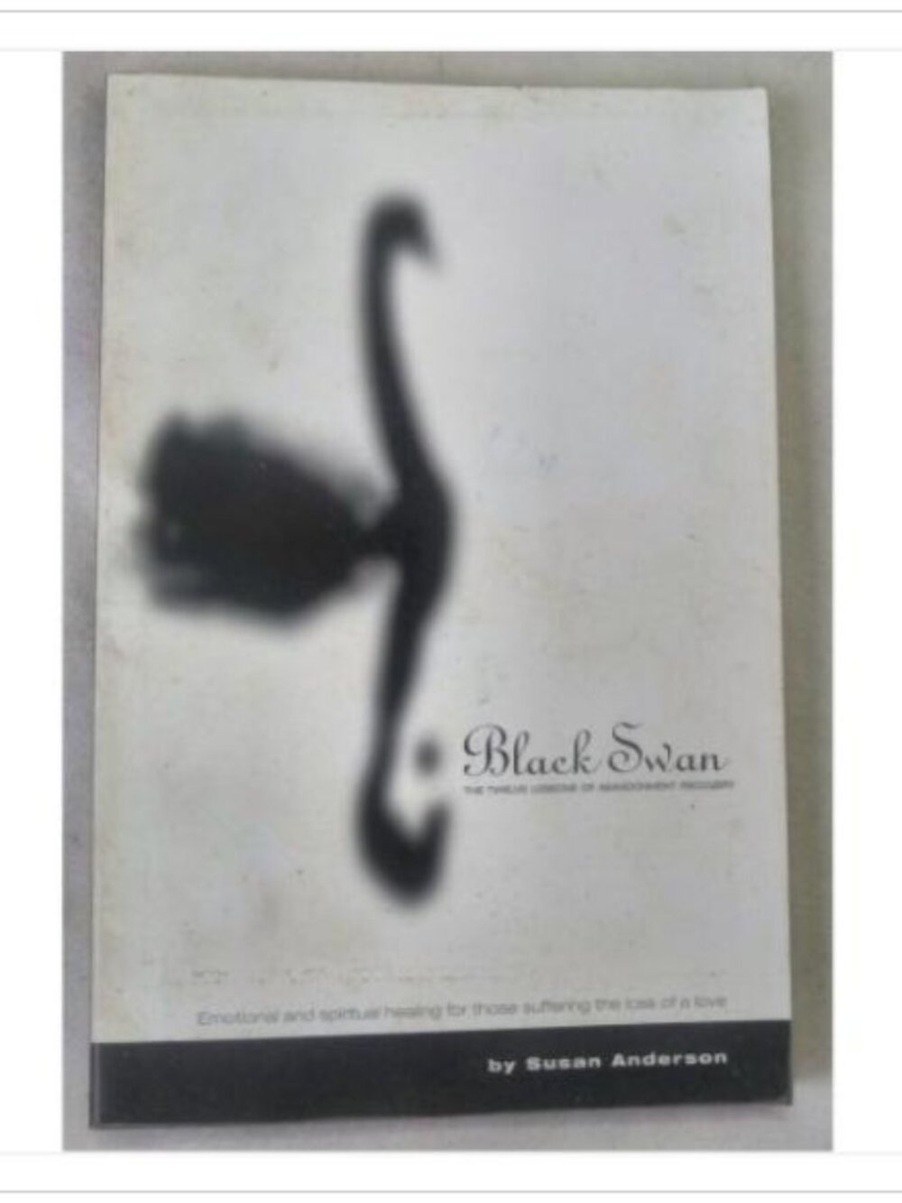 Black Swan The Twelve Lessons of Abandonment Recovery Foundations 1999 PB